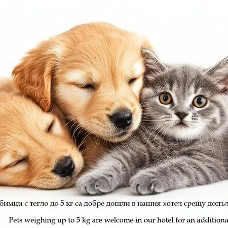 Life Ośrodek wypoczynkowy 4*